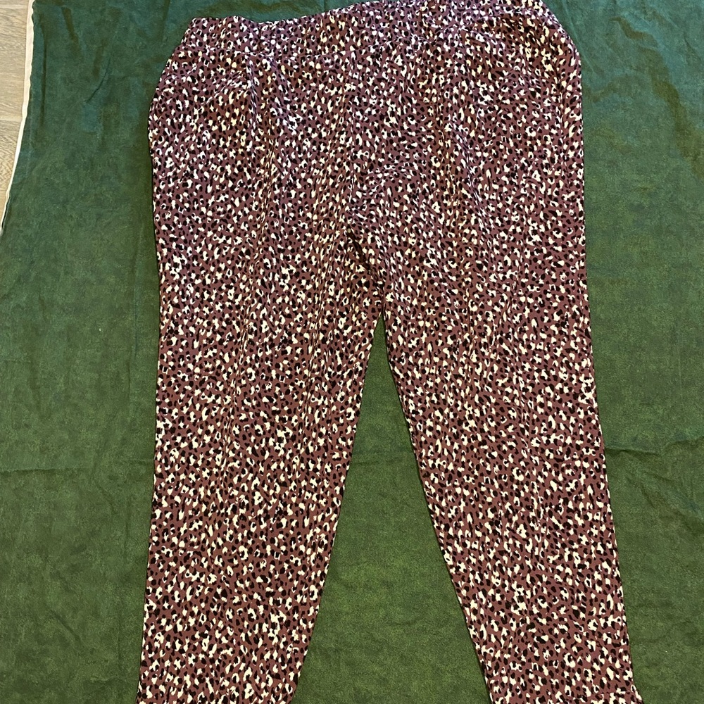 Jazzy Leopard Torrid Pants- size 2